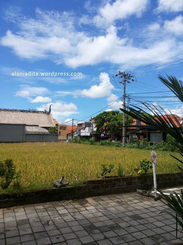 20140223_113155 copy