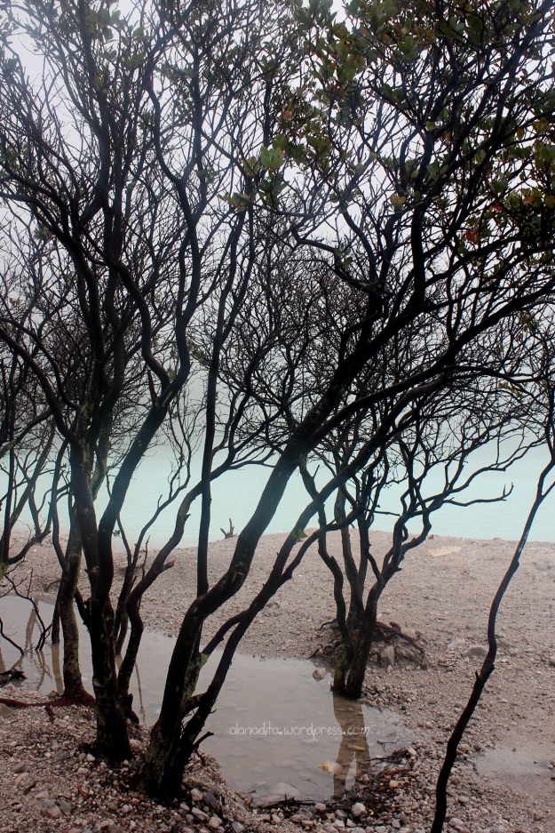 Kawah Putih, Ciwidei