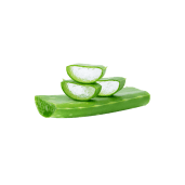 aloe-vera
