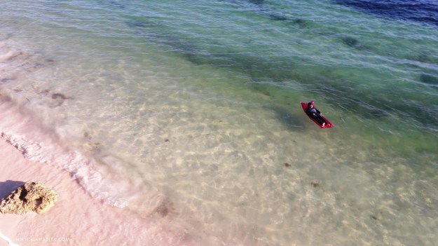 Selow kaya di Pulau Pribadi.jpg