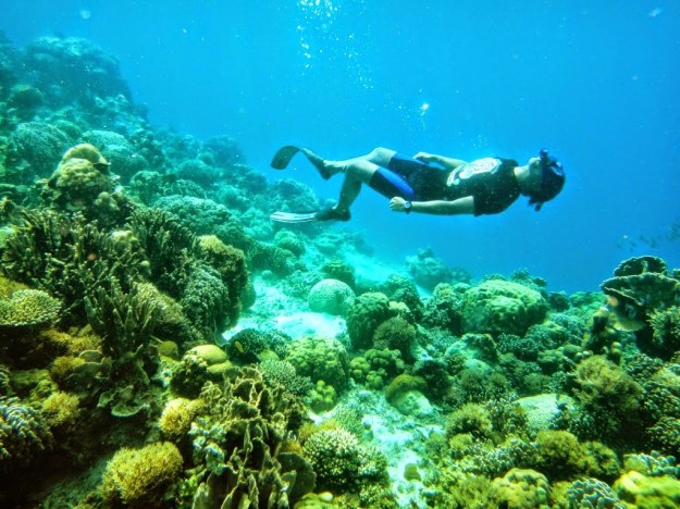 Pulau Kapoposang.JPG